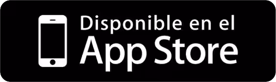 icono apple play store